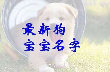 狗年生女宝宝起名字宜忌_狗年生女宝宝起名字宜忌是什么