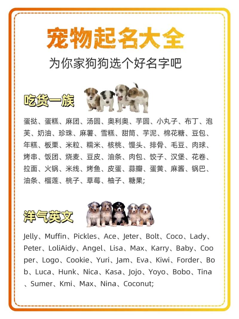 各年代给狗狗起名字大全_各年代给狗狗起名字大全图片