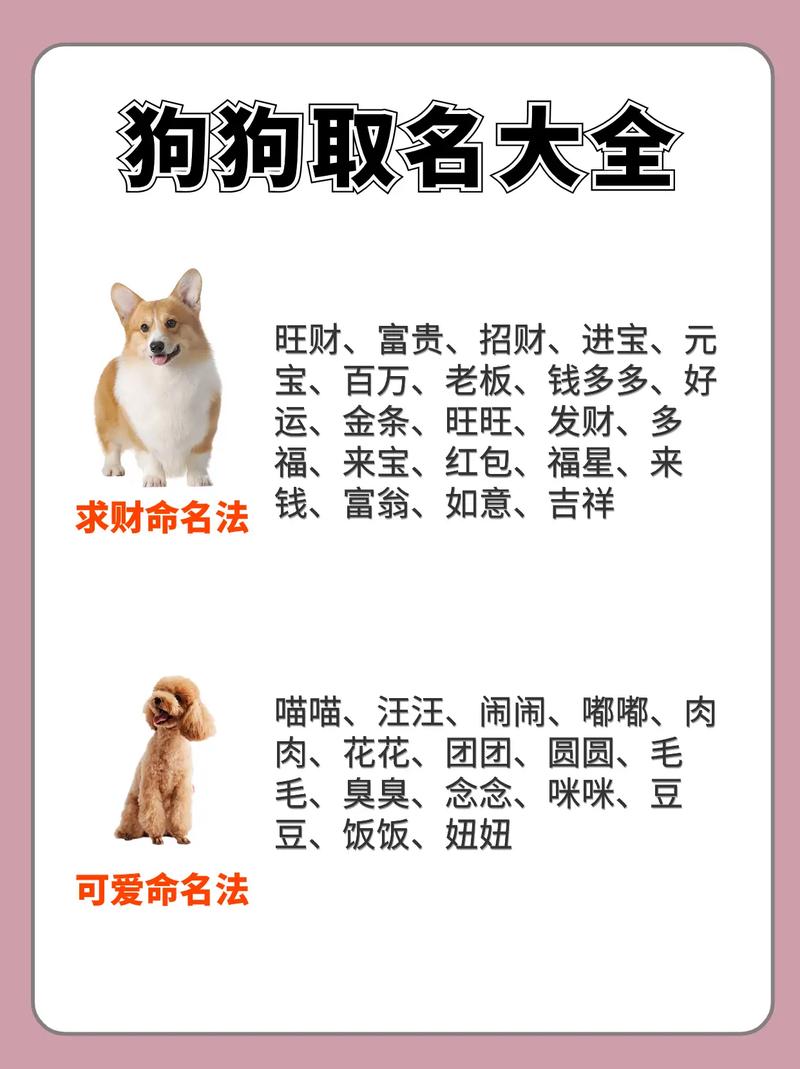 各年代给狗狗起名字大全_各年代给狗狗起名字大全图片
