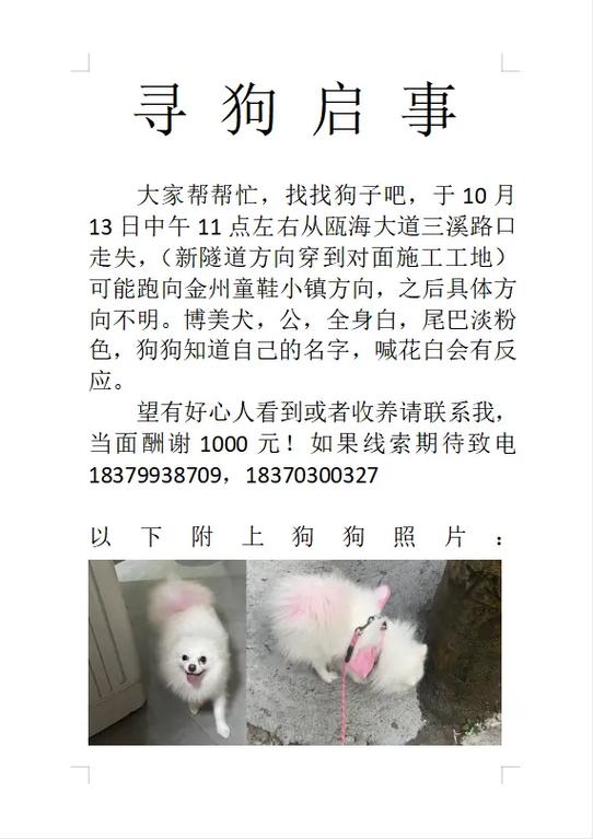 公博美起名字大全洋气_公博美起名字大全洋气女