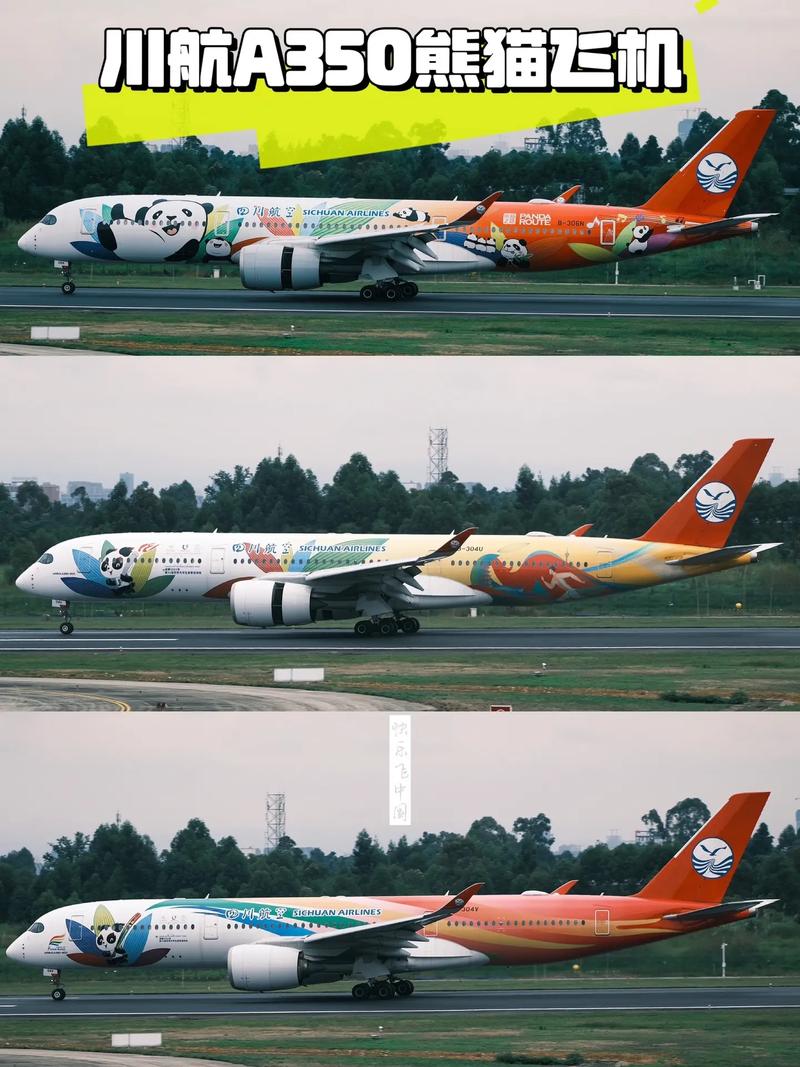 给航空熊猫模型起名字大全_给航空熊猫模型起名字大全四个字