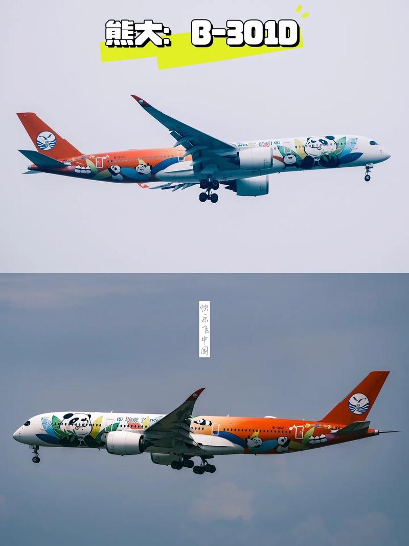 给航空熊猫模型起名字大全_给航空熊猫模型起名字大全四个字