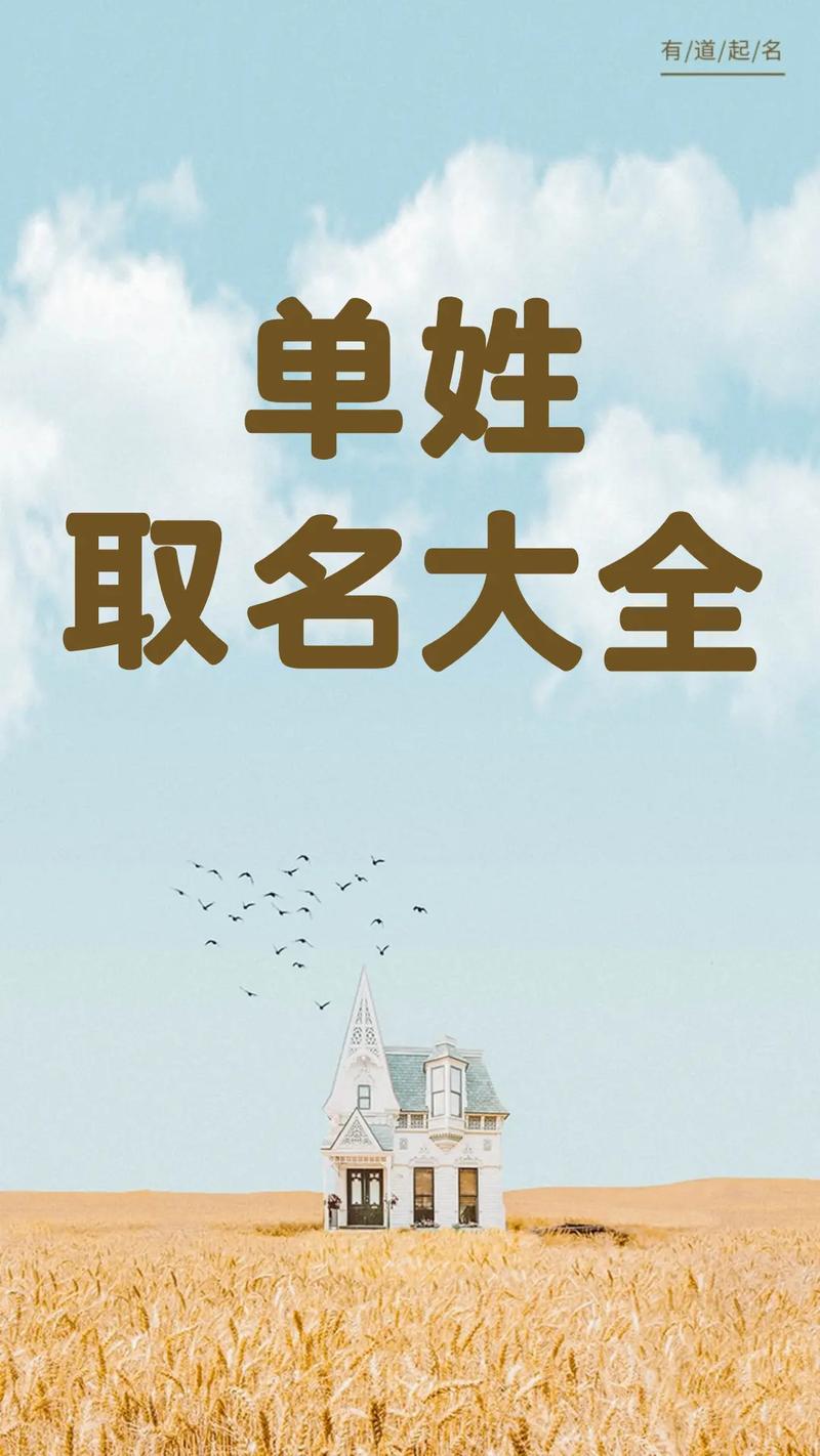 宝宝起名字什么意思带单字_宝宝起名字什么意思带单字的