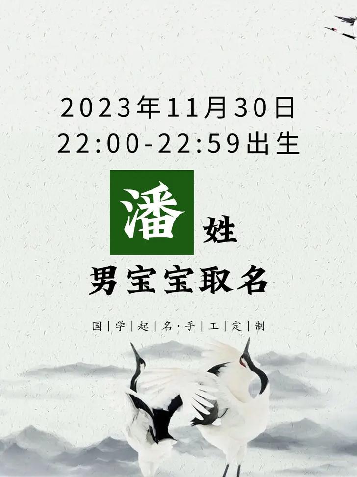 19年潘姓男宝宝起名字_19年潘姓男宝宝起名字大全