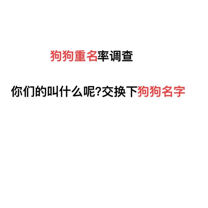 如何给金毛起名字大全_如何给金毛起名字大全好听