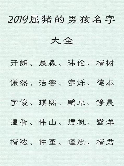 猪年男宝宝起名字大全姓王_猪年男宝宝起名字大全姓王怎么起