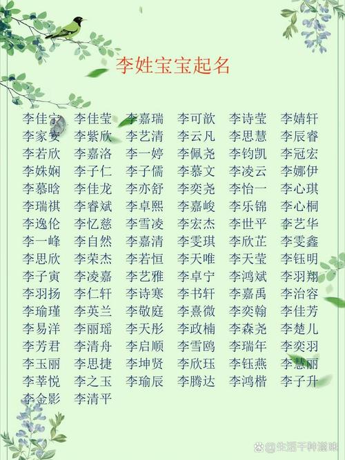 给一岁宝宝起名字姓李男孩_给一岁宝宝起名字姓李男孩怎么取