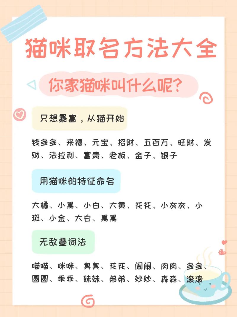 用中药给猫起名字大全_用中药给猫起名字大全四个字