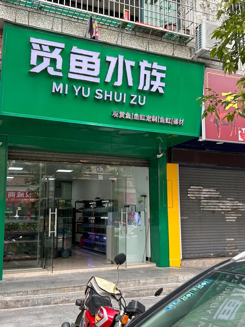 观赏鱼起名店铺名字大全集_观赏鱼起名店铺名字大全集图片