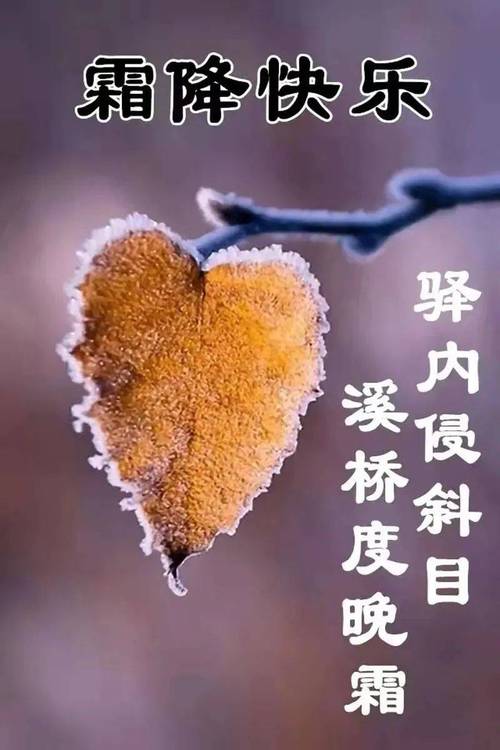 霜降前一天出生宝宝起名字_霜降前一天出生的孩子好不好