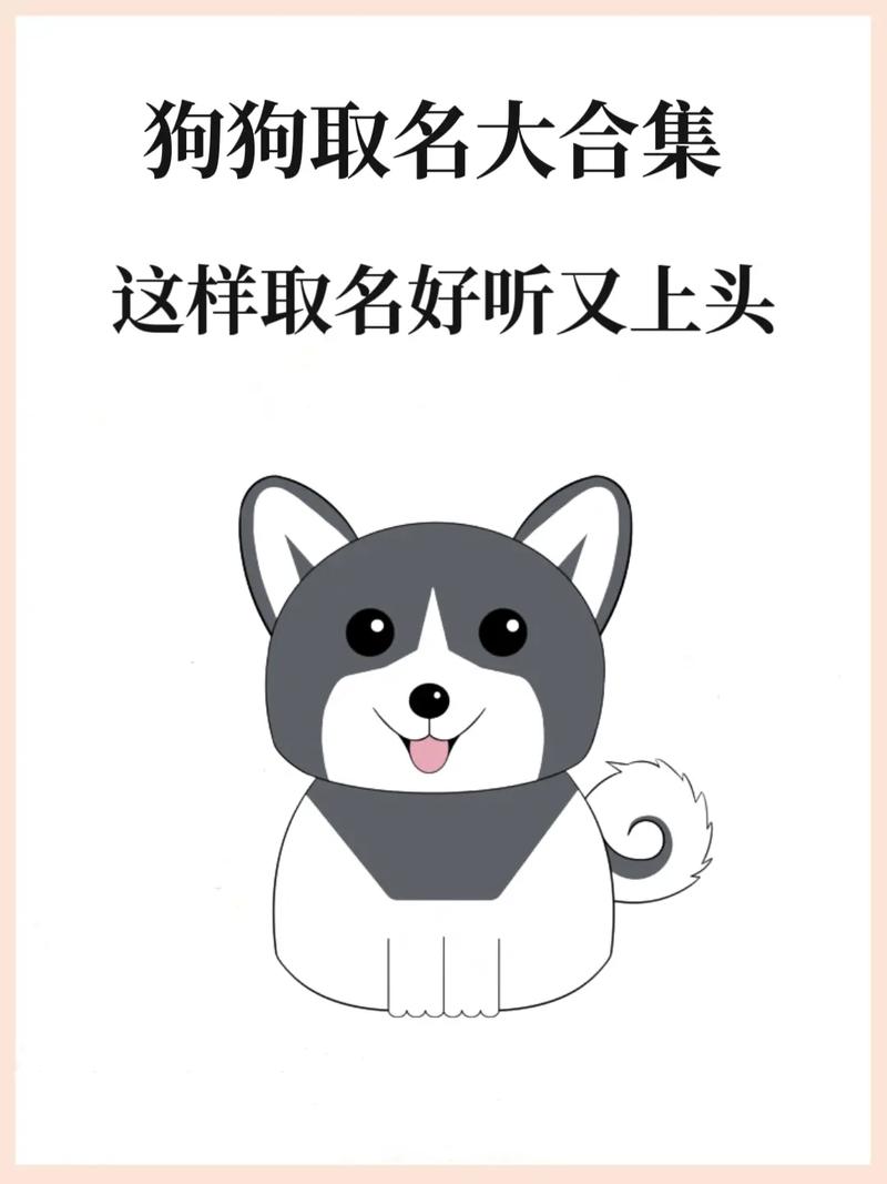 给男给男狗宝宝起名字_给男狗起个名字