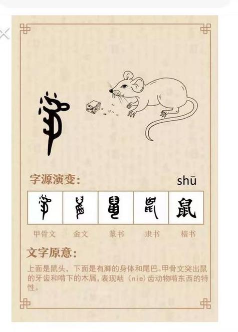 鼠宝宝起名字用象字可以吗_鼠宝宝起名字用象字可以吗女孩
