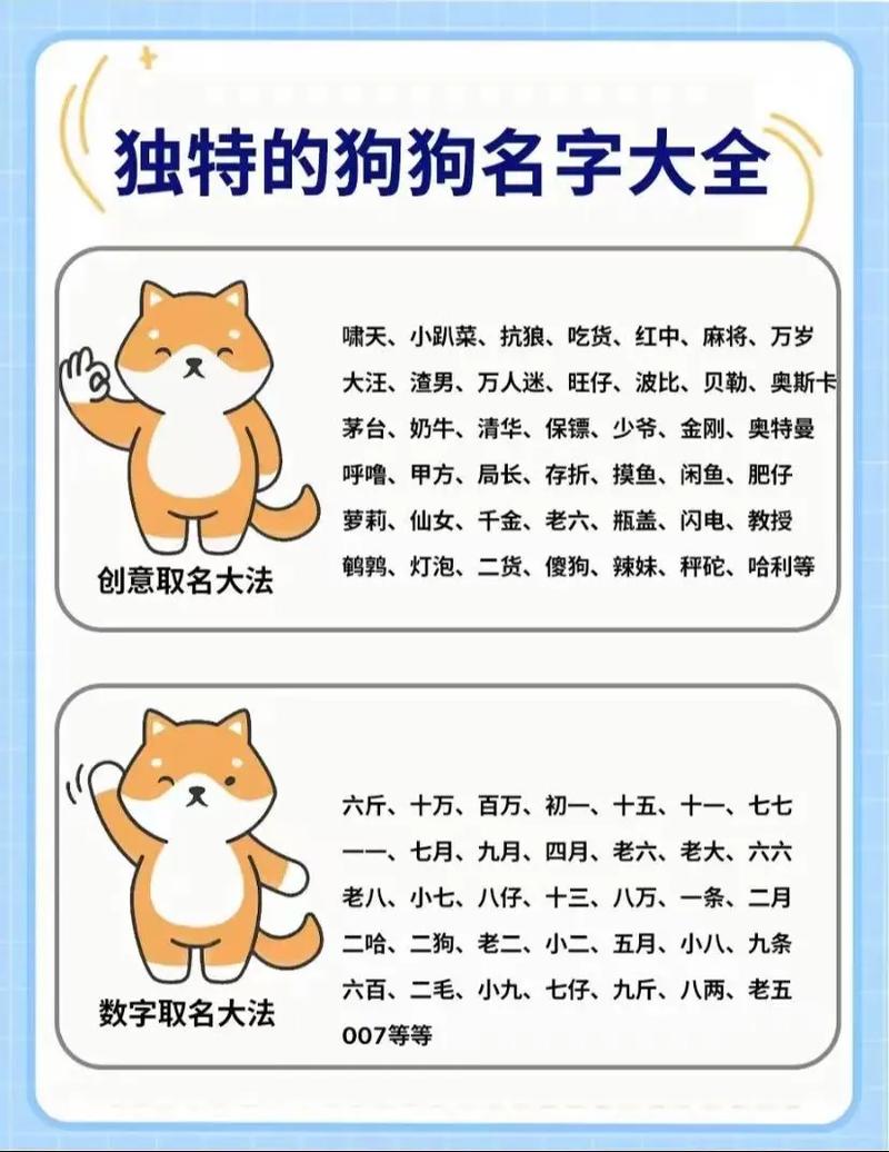 用食物跟狗狗起名字大全_用食物跟狗狗起名字大全四个字