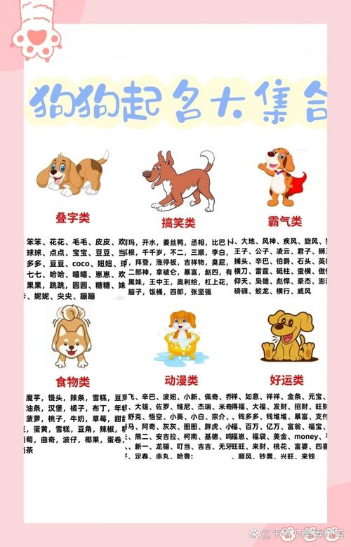 用食物跟狗狗起名字大全_用食物跟狗狗起名字大全四个字