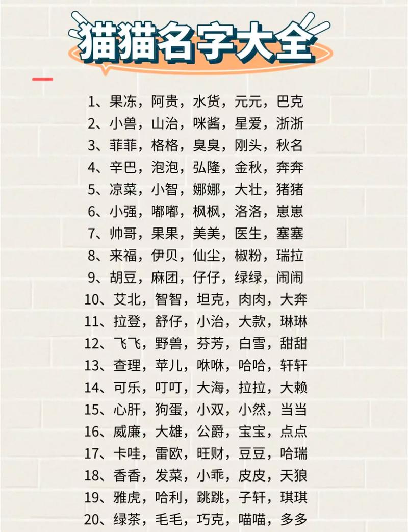猫哥哥给妹妹起名字大全_猫哥哥给妹妹起名字大全四个字