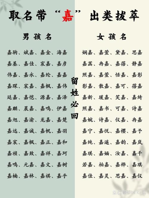 给宝宝起名字带嘉字好不好_给宝宝起名字带嘉字好不好呢