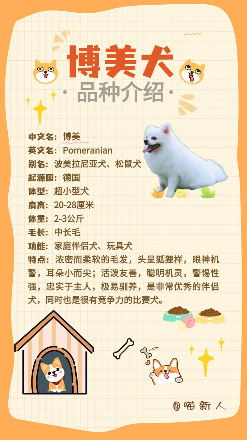 给博美狗狗起名字大全_给博美狗狗起名字大全女