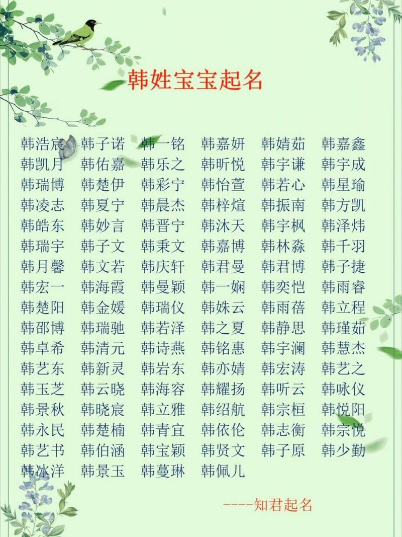 韩姓起名字大全男孩分数_韩姓取名字大全男孩
