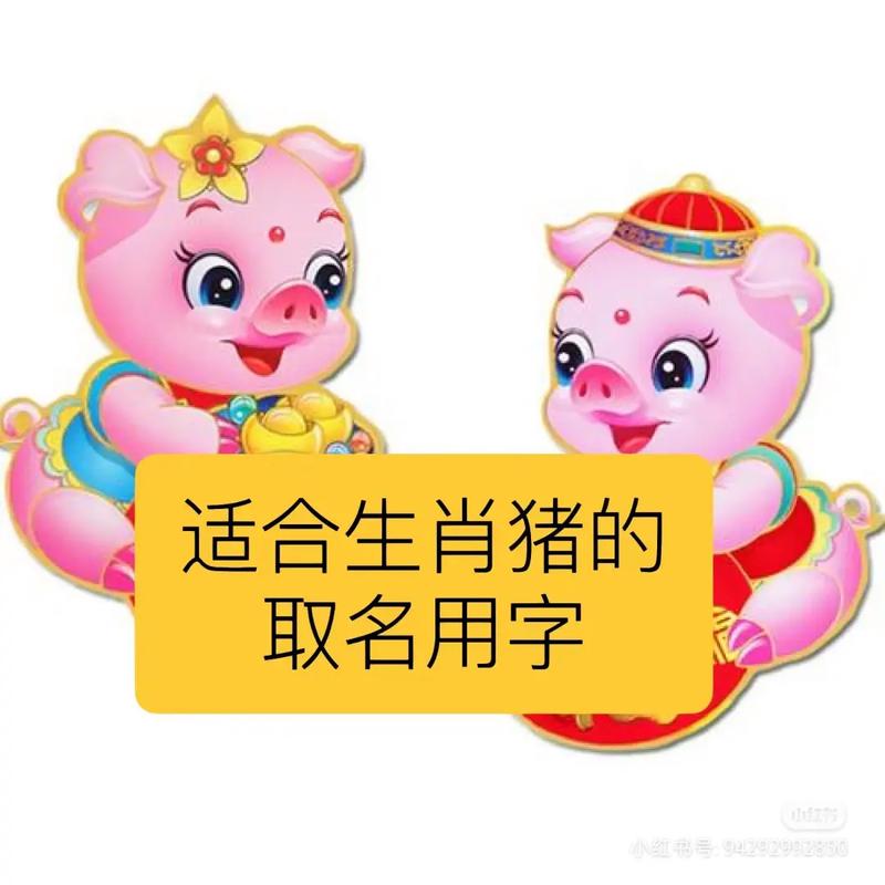 猪年6月出生的宝宝起名字_猪年6月出生的宝宝起名字大全