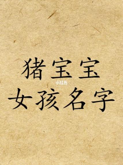 十二月份猪宝宝起名字男孩_12月属猪的宝宝起名