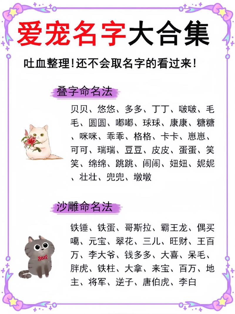 给猫星人起名字大全女生_给猫星人起名字大全女生两个字