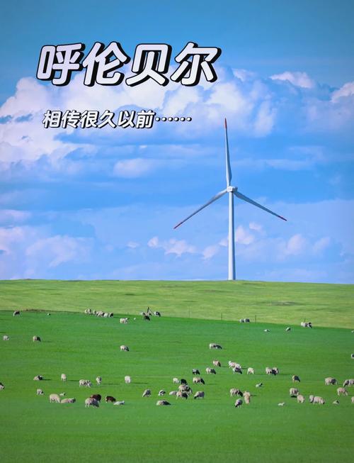 呼伦贝尔公司起名字大全_呼伦贝尔公司排名