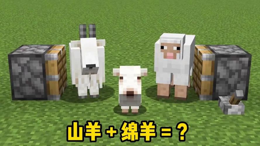 我的世界给羊起名字大全_我的世界给羊起名字大全四个字