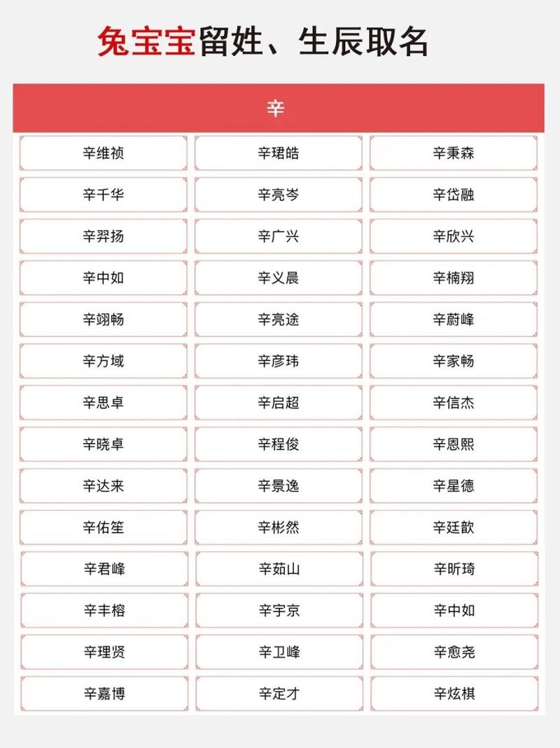 辛集宝宝起名字_辛集宝宝起名字大全