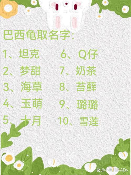龟宝宝起名字_龟宝宝起名字大全