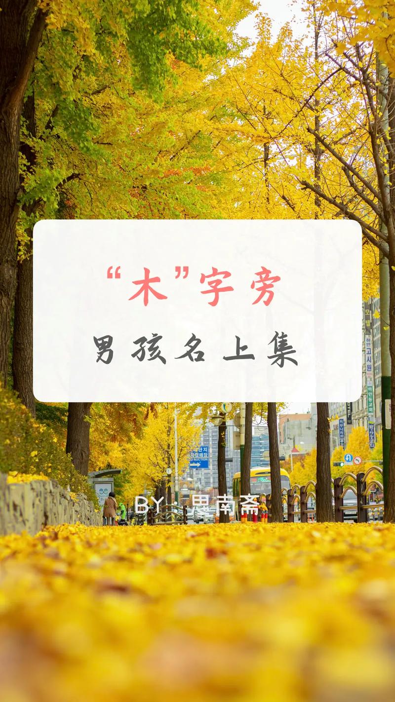 木字旁山字男孩起名字大全_木字旁山字男孩起名字大全集