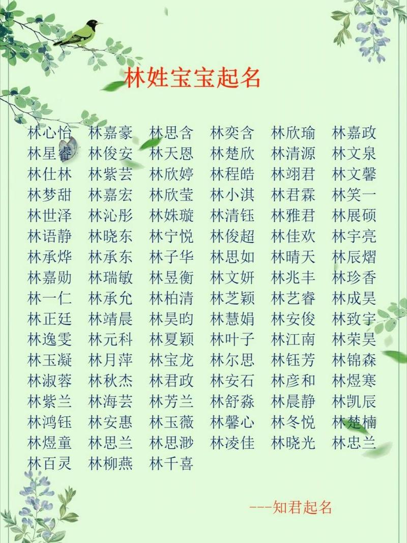 女孩子起名字大全姓林姓_女孩名字2021年名字大全姓林