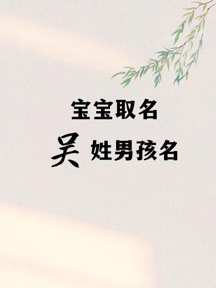 宝宝起名字吴_宝宝起名字吴字好吗