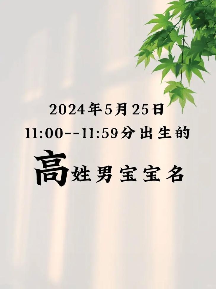 高安宝宝起名字_高安宝宝起名字大全