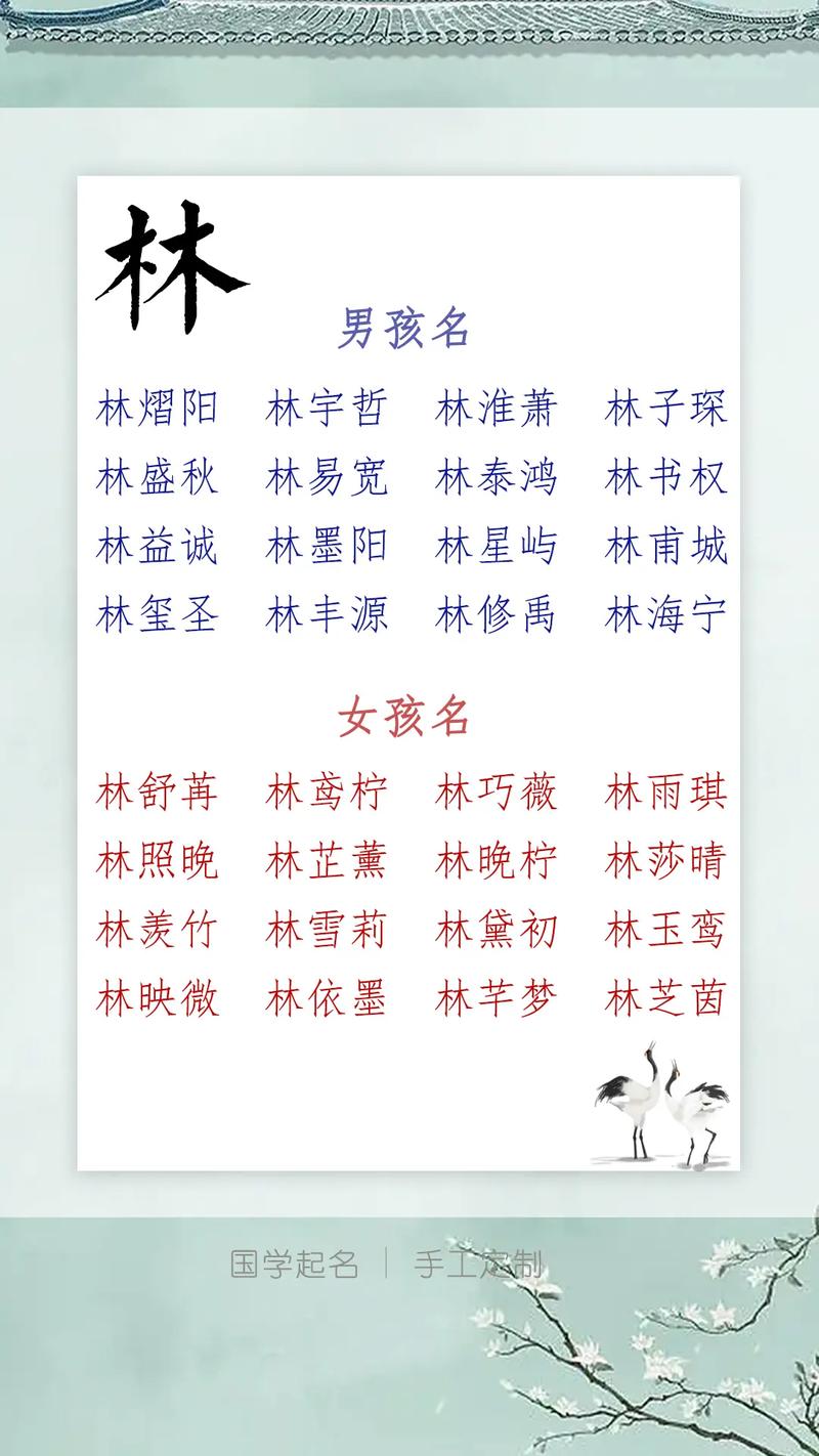 宝宝起名字林_给宝宝取名字林