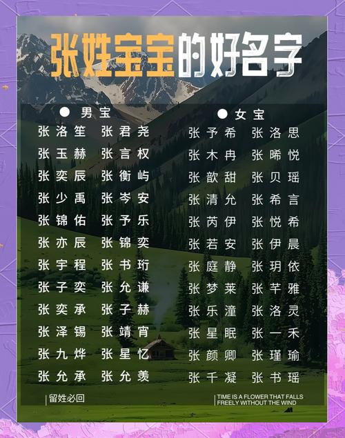新生儿起名字大全男孩张_新生儿起名字大全男孩张姓