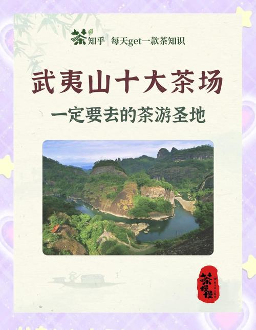 武夷山茶叶公司起名字大全_武夷山茶叶公司起名字大全及寓意