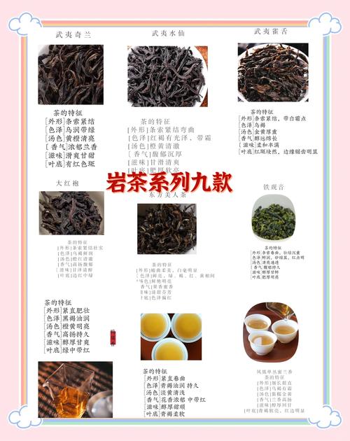 武夷山茶叶公司起名字大全_武夷山茶叶公司起名字大全及寓意