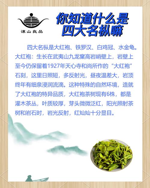 武夷山茶叶公司起名字大全_武夷山茶叶公司起名字大全及寓意