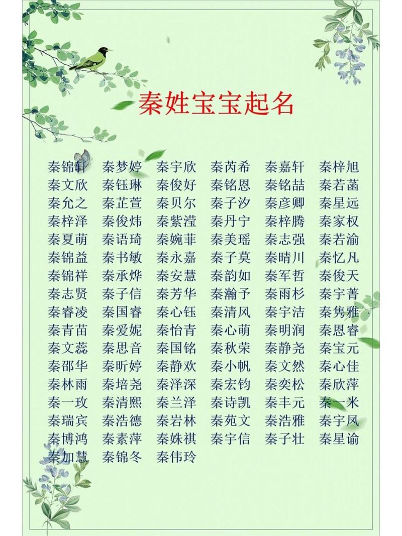 宝宝起名字秦_宝宝起名字秦什么好听