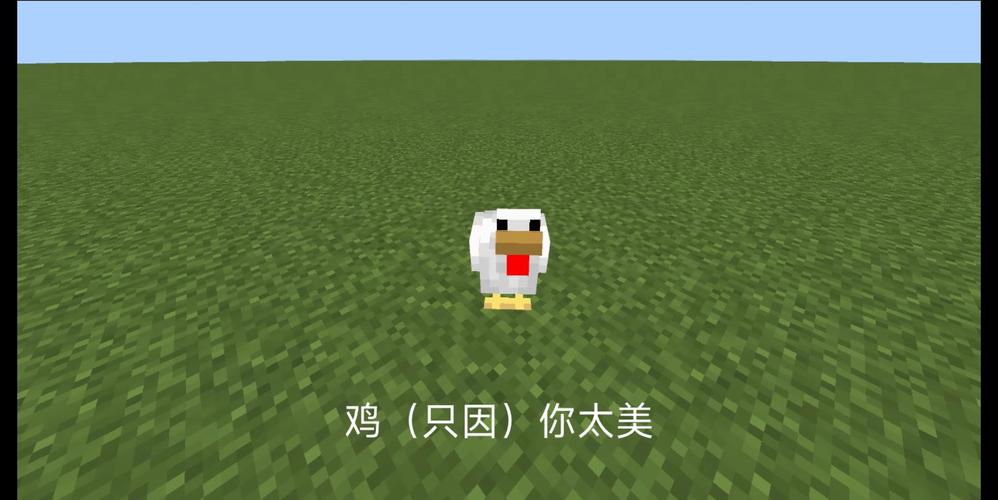 我的世界给鸡起名字大全_我的世界给鸡起名字大全男生