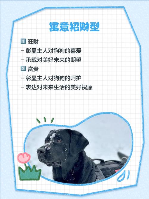 拉布拉多犬起名字大全集_拉布拉多犬起名字大全集图片