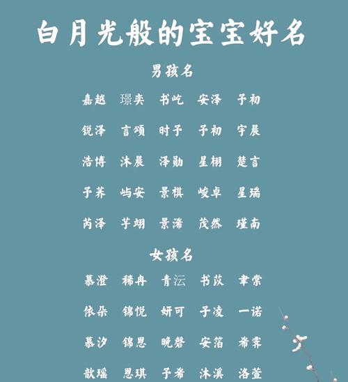 儿媳妇给孙子起名字大全_儿媳妇给孙子起名字大全集