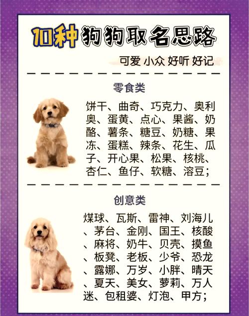 怎么给公母狗狗起名字大全_怎么给公母狗狗起名字大全四个字