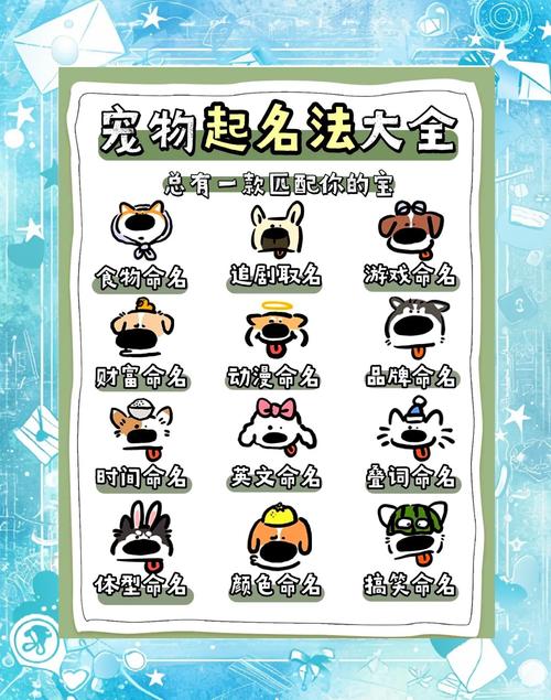 怎么给公母狗狗起名字大全_怎么给公母狗狗起名字大全四个字