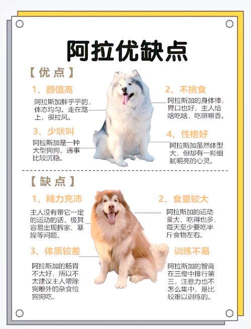 阿拉斯加狗起名字大全_阿拉斯加狗起名字大全男