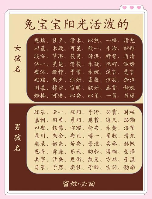 宝宝起名字兔_宝宝起名字兔年