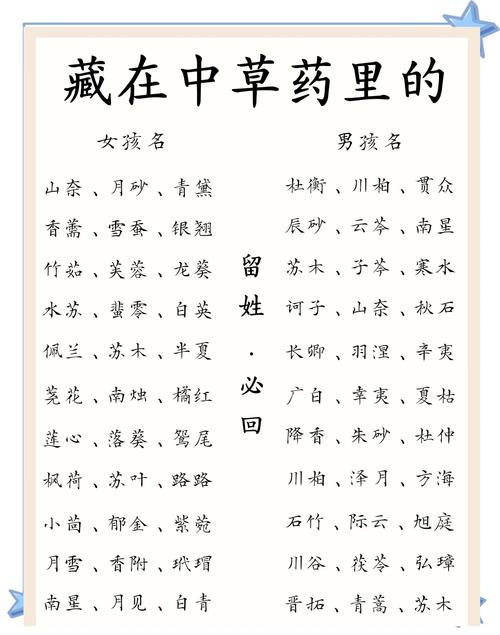 药材店铺起名字大全集_药材店铺起名字大全集四个字