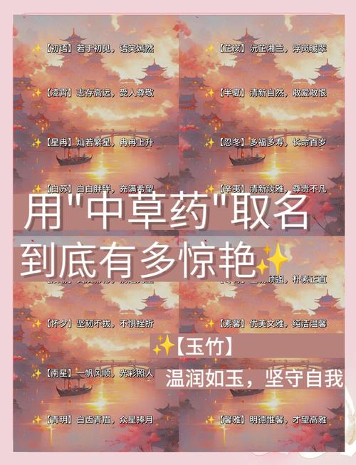 药材店铺起名字大全集_药材店铺起名字大全集四个字
