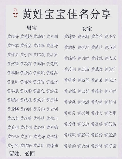 姓黄宝宝起名字_姓黄宝宝起名字带金字旁的名字